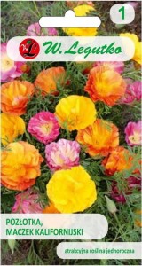 Pozłotka, Maczek kalifornijski Mix kolorów LEGUTKO