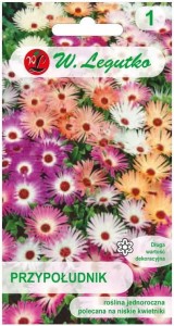 Przypołudnik Mix kolorów płożący LEGUTKO