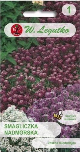 Smagliczka nadmorska Mix kolorów  LEGUTKO