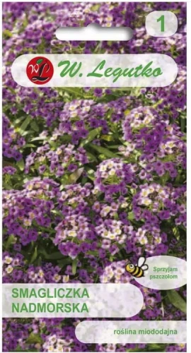 Smagliczka nadmorska Fioletowa LEGUTKO