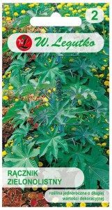 Rącznik zielonolistny odstrasza gryzonie LEGUTKO
