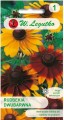 Rudbekia dwubarwna Mix kolorów  LEGUTKO