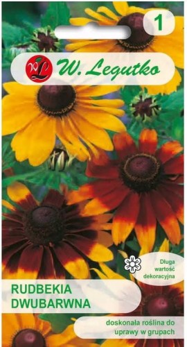 Rudbekia dwubarwna Mix kolorów  LEGUTKO