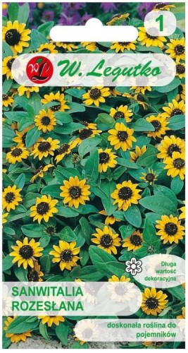 Sanwitalia rozesłana Żółta na balkon LEGUTKO