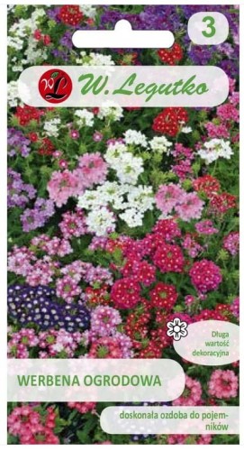 Werbena ogrodowa, Witułka Mix kolorów LEGUTKO