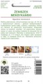 Żeniszek meksykański Mix kolorów LEGUTKO