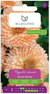 Nagietek lekarski Kremowy Apricot Beauty LEGUTKO