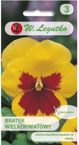 Bratek wielkokwiatowy Yellow Red Eye Żółty LEGUTKO
