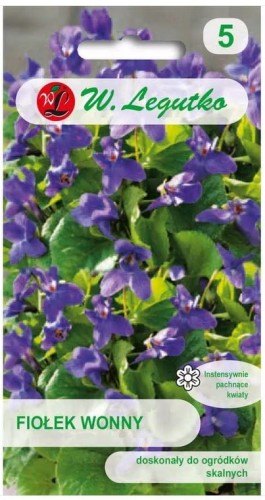Fiołek wonny fioletowy Pachnący 0,3g LEGUTKO