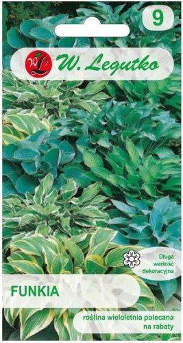 Funkia MIX LEGUTKO