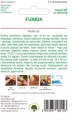 Funkia MIX LEGUTKO