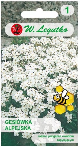 Gęsiówka alpejska LEGUTKO