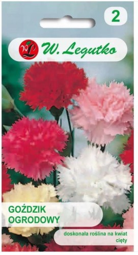 Goździk ogrodowy Mix kolorów LEGUTKO