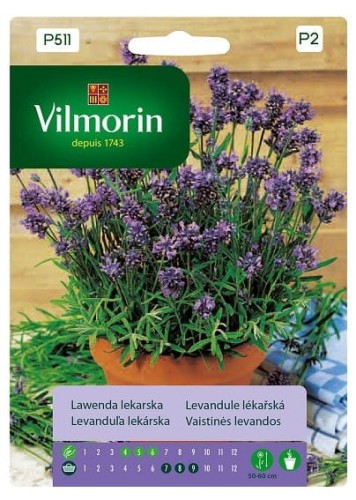 Lawenda lekarska VILMORIN PREMIUM 0,2g