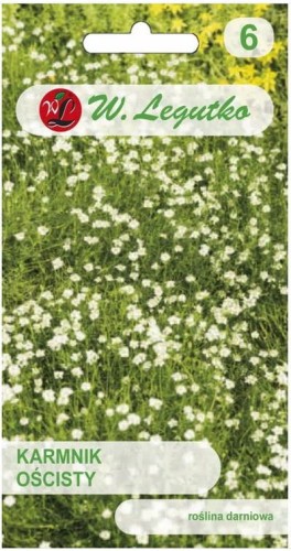 Karmnik ościsty biały Bylina darniowa LEGUTKO