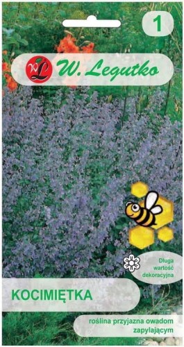 Kocimiętka Niebiesko-fioletowa LEGUTKO
