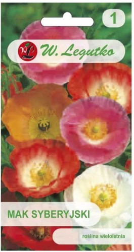 Mak syberyjski Mix kolorów LEGUTKO