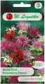 Monarda Pysznogłówka bylina 60-100cm Mix LEGUTKO