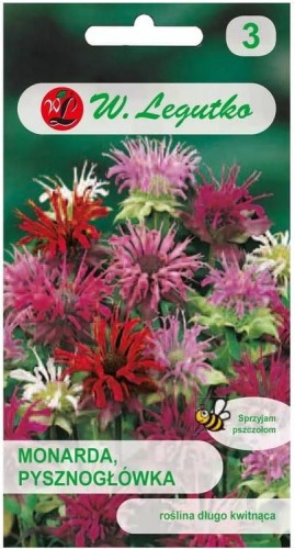 Monarda Pysznogłówka bylina 60-100cm Mix LEGUTKO