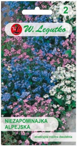 Niezapominajka alpejska Mix kolorów  LEGUTKO