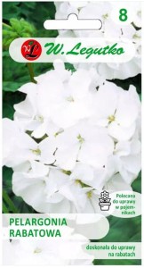 Pelargonia rabatowa Gama F1 Biała LEGUTKO