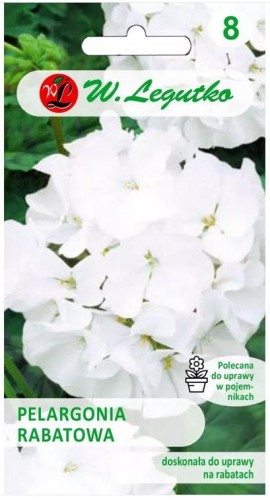 Pelargonia rabatowa Gama F1 Biała LEGUTKO