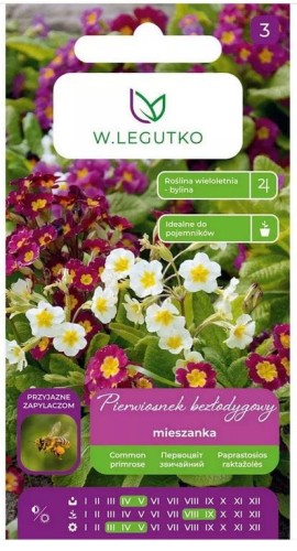 Pierwiosnek bezłodygowy Mix kolorów LEGUTKO