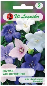 Platykodon, Rozwar Mix kolorów  LEGUTKO