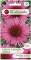 Rudbekia, Jeżówka purpurowo - różowa LEGUTKO