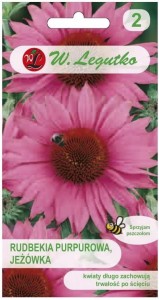 Rudbekia, Jeżówka purpurowo - różowa LEGUTKO
