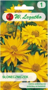 Słoneczniczek Złotożółty Heliopsis LEGUTKO