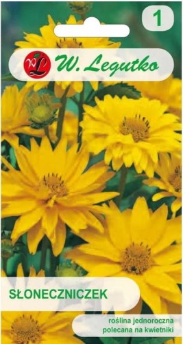 Słoneczniczek Złotożółty Heliopsis LEGUTKO