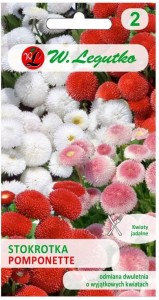 Stokrotka pospolita Pomponette Mix LEGUTKO