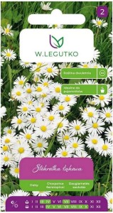 Stokrotka pospolita łąkowa LEGUTKO