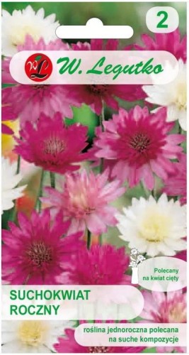 Suchokwiat roczny Mix kolorów LEGUTKO