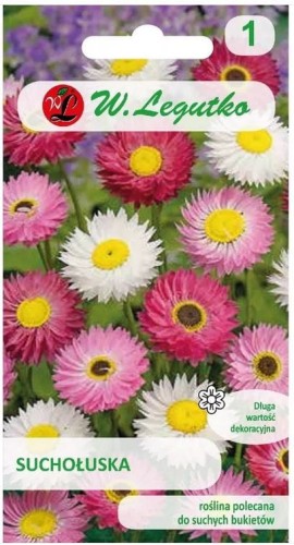 Suchołuska Mix kolorów LEGUTKO