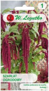 Szarłat zwisły czerwony LEGUTKO