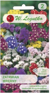 Zatrwian wrębny Mix kolorów LEGUTKO