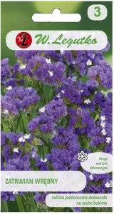 Zatrwian wrębny Fioletowy LEGUTKO