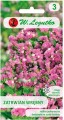 Zatrwian wrębny Różowy LEGUTKO