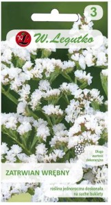 Zatrwian wrębny Biały LEGUTKO