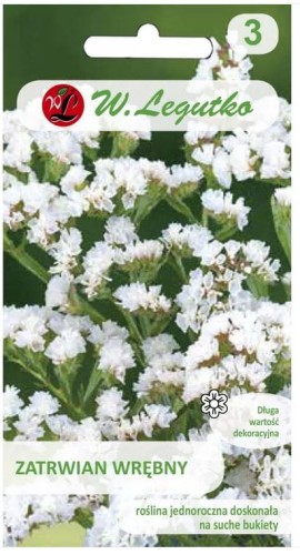 Zatrwian wrębny Biały LEGUTKO