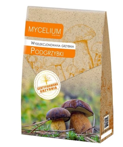 Grzybnia PODGRZYBEK Brunatny 120ml XL MYCELIUM