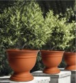 Gazon plastikowy 28cm Irys GRAFITOWY produkt POLSKI