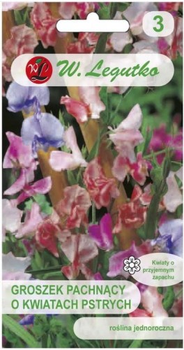 Groszek pachnący o kwiatach pstrych Mix LEGUTKO