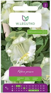 Kobea pnąca Biała LEGUTKO