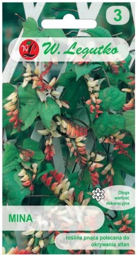 Mina czerwono - żółta pnącze 5m LEGUTKO