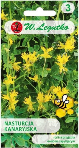 Nasturcja kanaryjska Żółta pnącze LEGUTKO