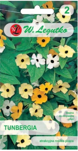 Tunbergia pnącze Mix odcieni żółtego LEGUTKO