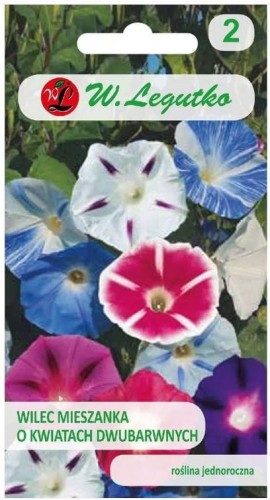 Wilec, Powój pnący Mix dwubarwny LEGUTKO